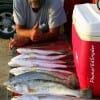 Allen Edwards night-fished with live shrimp and popping corks to box up this 3 am limit of specks