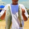 Chad Wildman of Channelview TX fished a Scurtu Rig for these nice speckled trout