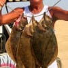 Dallas angler Henri Fontenot wrangled up these three nice flounder fishing Berkley Gulp