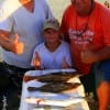 Fishin Buds Richard Hanks with Mark Torres and Mark JR night-fished with finger mullet and Popping cork shrimp for these flounder and trout