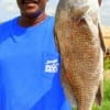 Glenn Dever of Houston caught this nice keeper eater drum on shrimp