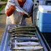 James Simon of Huntsville TX caught this 4 am limit of specks on shrimp and popping corks