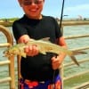 Lots of fun for Brady Murphy of Batson TX after hooking this Skipjack on a minnow and popping cork