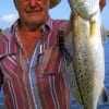 Lufkin TX angler Larry Fowler took this nice speck on cut croaker