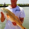 Robert Squyers of Waskom TX fished a live finger mullet on the bayside of the cut for this fine 26 inch slot red