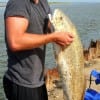 Shay Singleton of Vidor TX landed his very first Red, a 37 inch tagger bull, while fishing a finger mullet, WTG SHAY