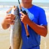 Texas Chicken took this 25 inch, 5 lb speck in the surf while wade-fishing, stated Daniel King of Dayton TX