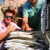 The Texas A&M Krewe of College Station TX waded the early surf with Mirror Lures and touts for this impressive catch of trout