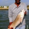 Wilbur Howard of Houston took this nice 31 inch tagger bull red on a finger mullet